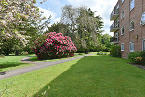 Photo 12- click for photo gallery